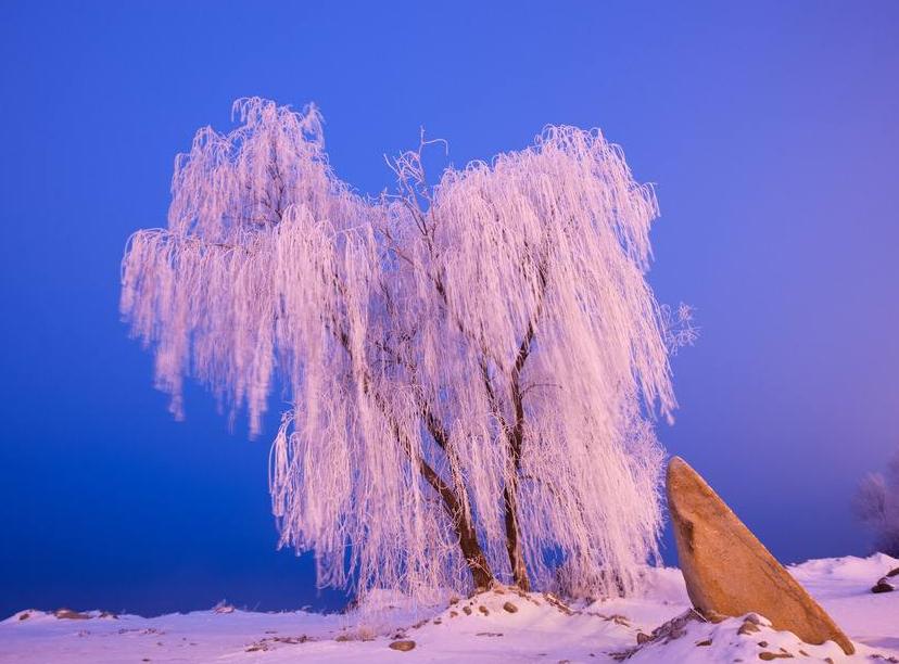 吉林之光,高科技产品照亮未来,科技与生活共舞