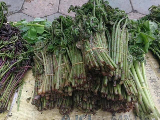 吉林之光,高科技产品照亮未来,科技与生活共舞