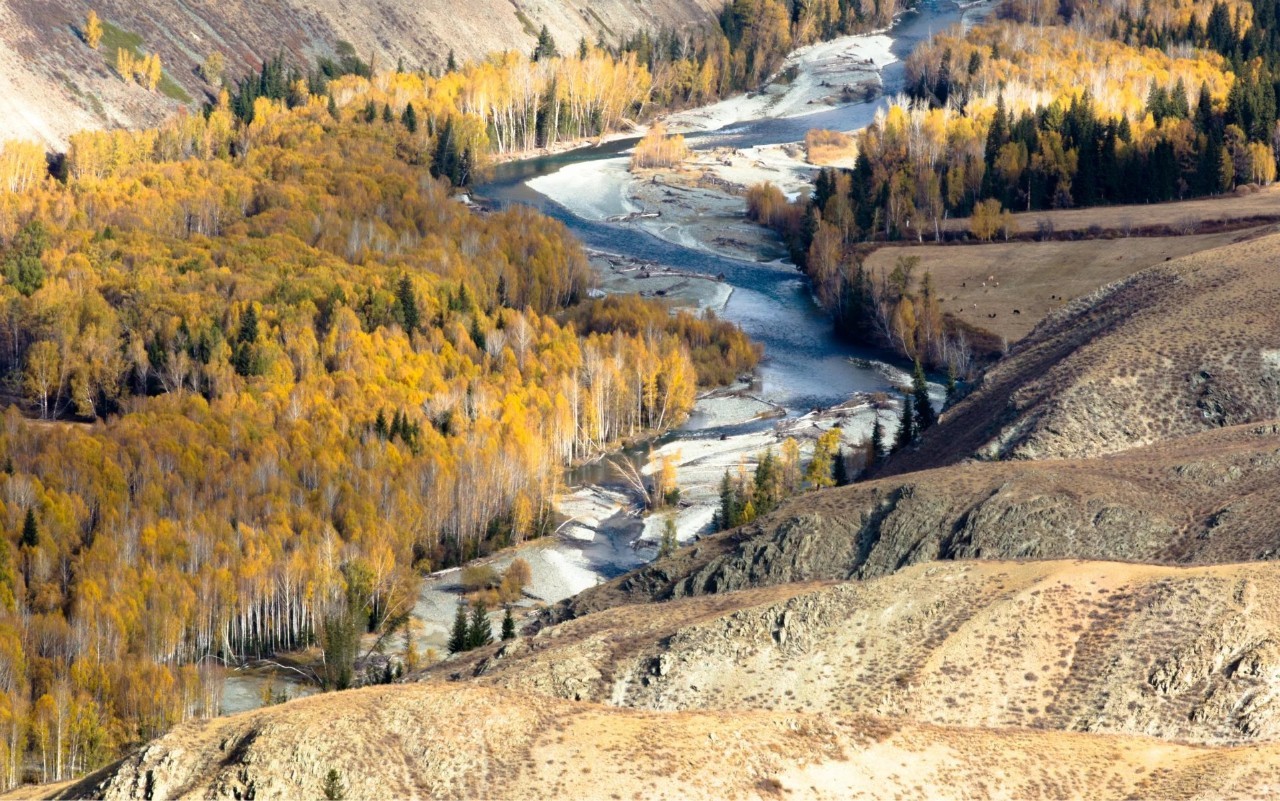新疆，多元文化融合的璀璨明珠